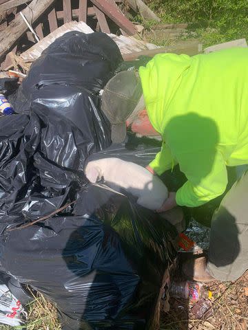 <p>Missouri Dept. of Conservation</p> Puppy found in Missouri being taken out of a trash pile
