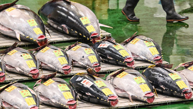 This 525-Pound Bluefin Tuna Just Sold for Nearly $800,000 at Tokyo's New  Year's Auction