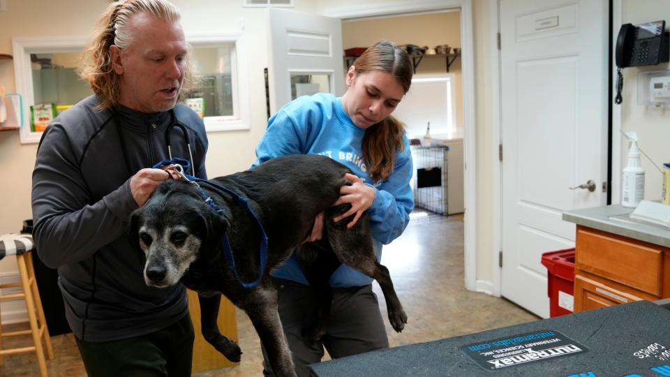 Veterinarian, Dr. Silas Ashmore and Veterinarian Assistant, Caitlyn Abline, helps Colby onto a table at All Creatures Great and Small Animal Hospital, in Denville.  Wednesday, March 22, 2023