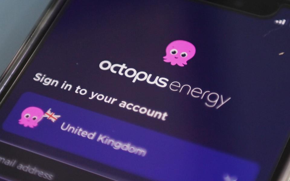 Octopus Energy - NEIL HALL/EPA-EFE/Shutterstock