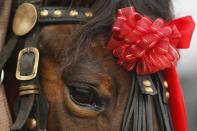 A horse is seen before the annual horse race organized by Orthodox believers on Epiphany Day in the Romanian village of Pietrosani, 45 km (28 miles) north of Bucharest, January 6, 2014. Epiphany Day falls on January 6 every year and it celebrates the end of Christmas festivities in Romania. REUTERS/Bogdan Cristel (ROMANIA - Tags: ANIMALS SOCIETY RELIGION)