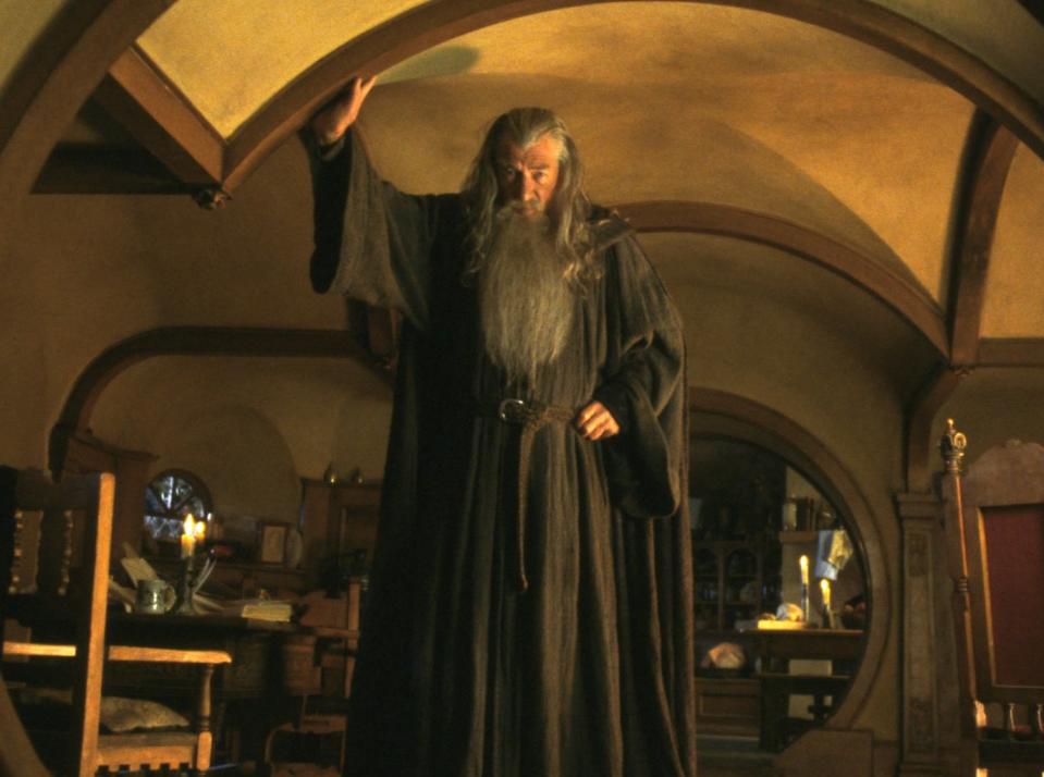 Ian McKellen in The Lord of the Rings: The Fellowship of the Ring