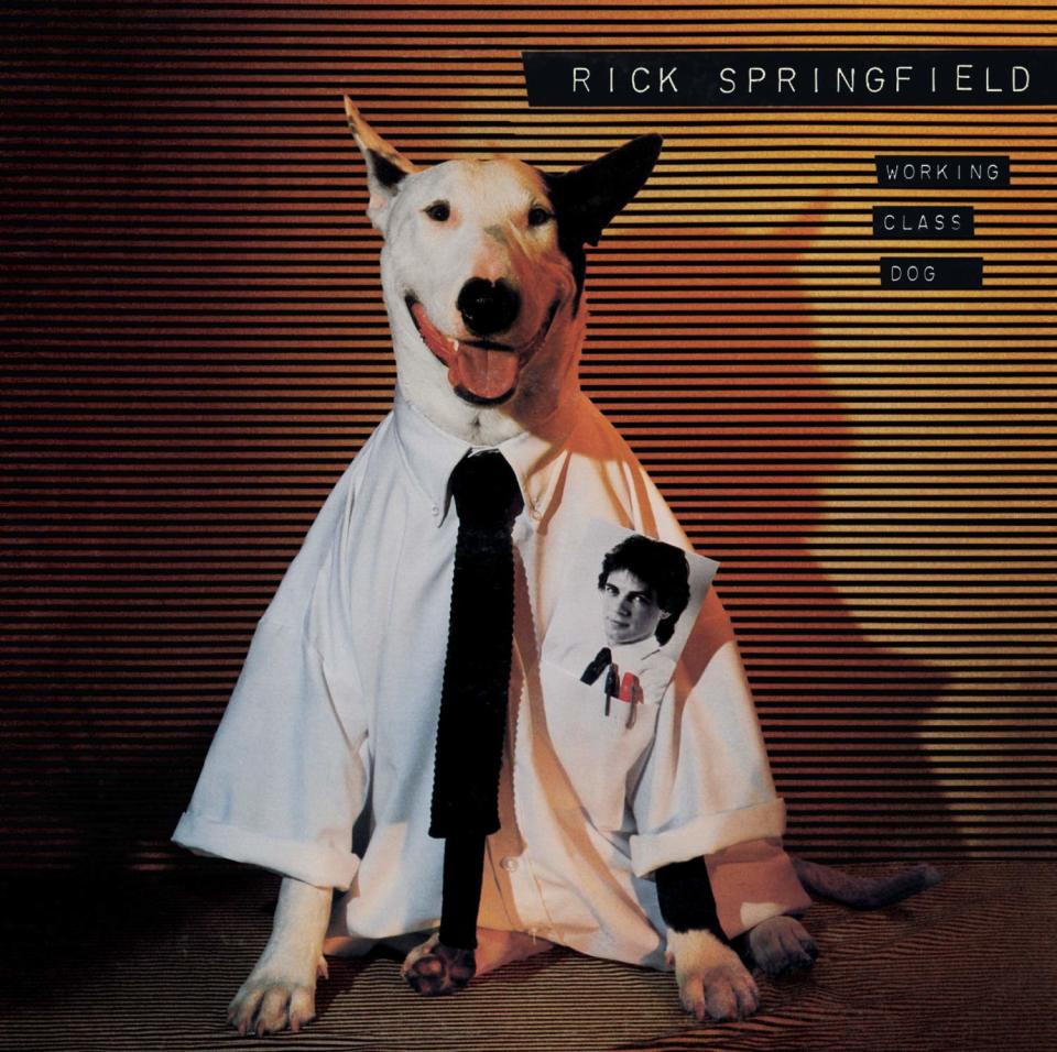 Rick Springfield's 'Working Class Dog' aobum, 1981. (Photo: rCA Records)
