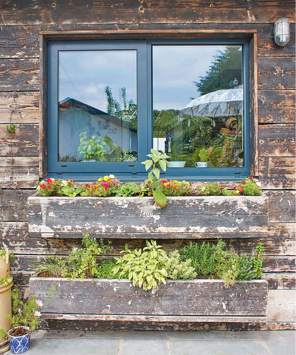 Create a small vegetable garden in a window box