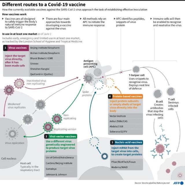 Sinovac vaccine against delta variant