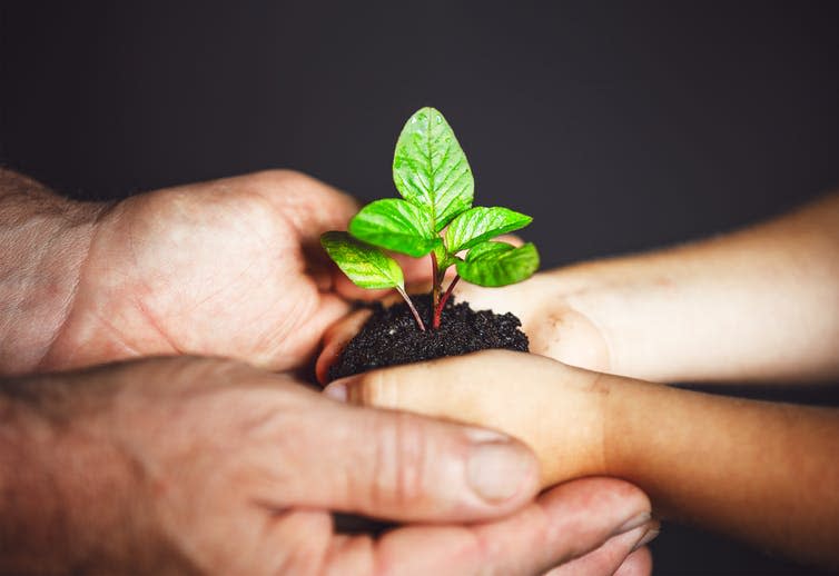 <span class="caption">Green hands.</span> <span class="attribution"><a class="link " href="https://www.shutterstock.com/image-photo/concept-generation-development-elderly-man-baby-529502029?src=YHEtgJ7v5vO4NmQcJ8Bvfw-1-66" rel="nofollow noopener" target="_blank" data-ylk="slk:Shutterstock;elm:context_link;itc:0;sec:content-canvas">Shutterstock</a></span>