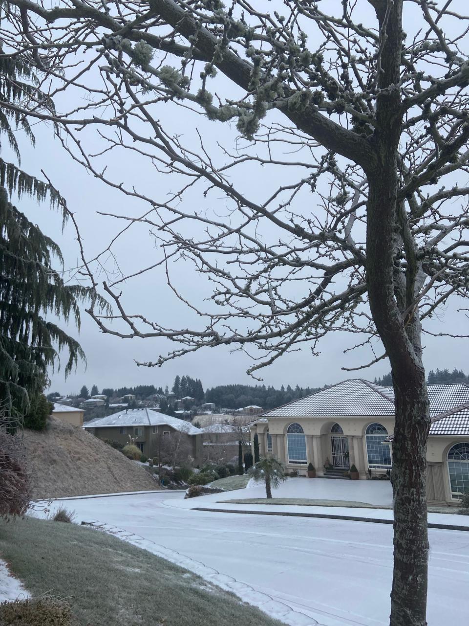Ice coats the trees, roofs and streets of South Salem on Friday, Dec. 23, 2022.