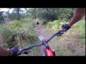 <p>A rider in Kincaid Park, Alaska, was so surprised to run into a black bear on the trail that he crashed his bike. </p><p><a href="https://www.youtube.com/watch?v=n5IAbug-EuE  " rel="nofollow noopener" target="_blank" data-ylk="slk:See the original post on Youtube;elm:context_link;itc:0;sec:content-canvas" class="link ">See the original post on Youtube</a></p>