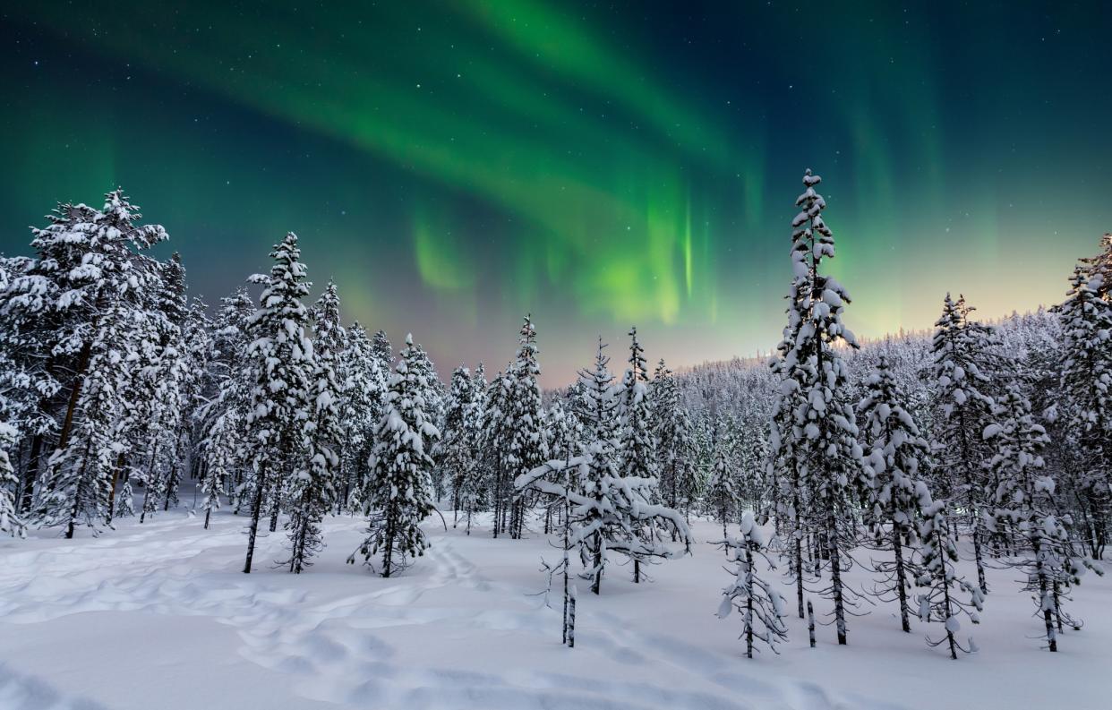 Kay Burley goes sledding in the Arctic Circle - getty