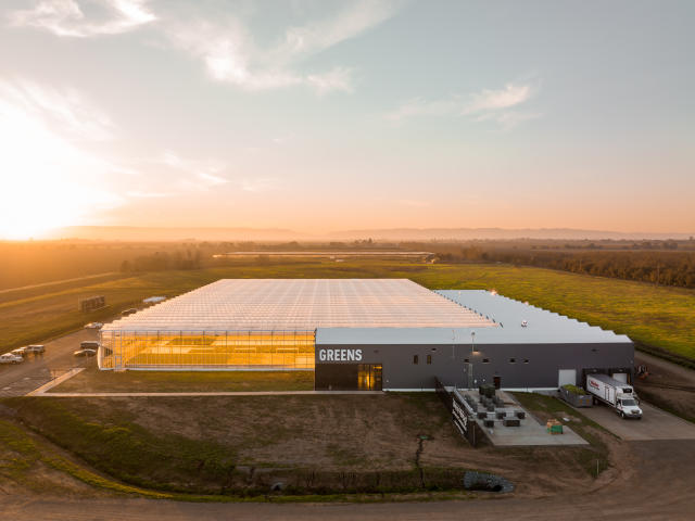 Gotham Greens: A Farm Grows in Brooklyn - Bloomberg