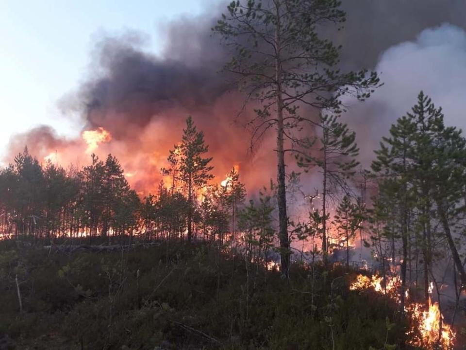 A wildfire in a forest in Khanty-Mansi Autonomous District in western Siberia, Russia, on 16 July 2020: Reuters/Russia's Aerial Forest Protection Service