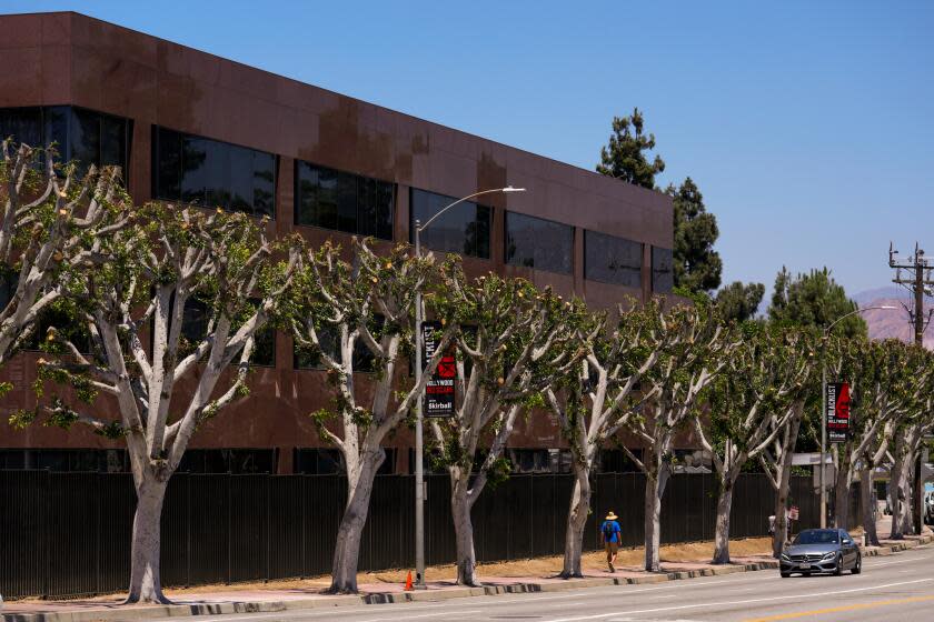 Trees are seen outside Universal Studios.