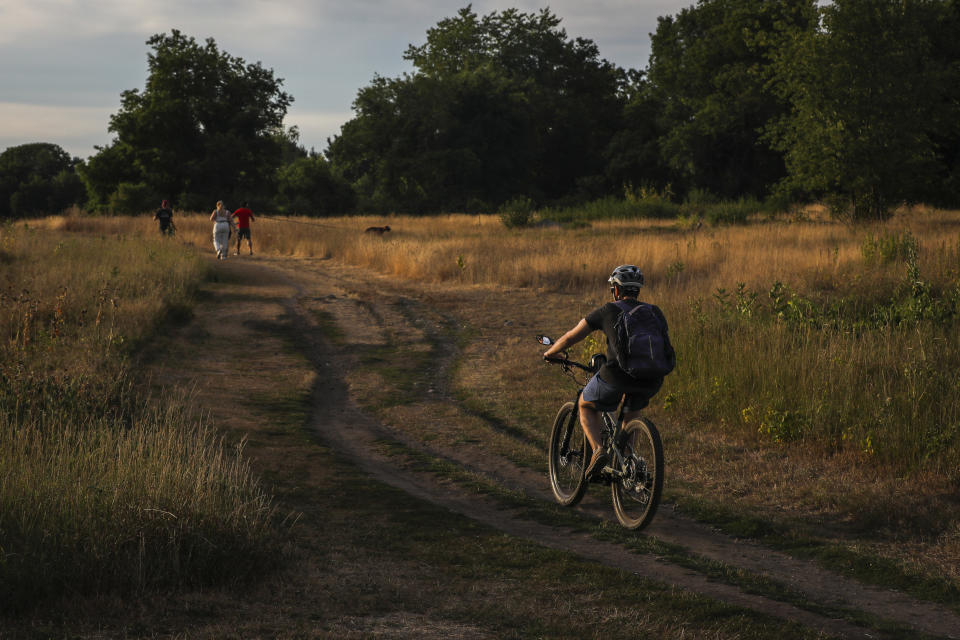 A bicyclist bikes past grassy fields that have dried to a golden brown due to drought at Rock Meadow Conservation Area in Belmont, MA. (Photo by Erin Clark/The Boston Globe via Getty)