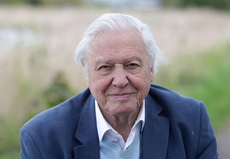 david attenborough