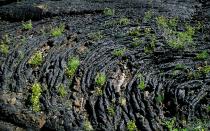 <p>You may think you’ve been launched into space, but you’re only in central Idaho. Between 2,000 and 15,000 years ago, eight major volcanic eruptive periods occurred, forming the deep cracks, craters, and lava fields currently found in the Craters of the Moon National Monument and Preserve. The area’s sub-surface still has high levels of volcanic and tectonic activity, so the landscape is ever changing. Start at the visitor center, where experts share knowledge about the area’s geology and lithology. From there, explore Indian Tunnel and take a hike around Broken Top Loop trail.</p>