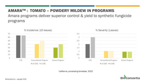 In field testing, new AMARA biofungicide showed equivalent or superior performance versus synthetic chemical fungicide. This graph shows AMARA outperformed synthetic chemical fungicide in protecting tomato from powdery mildew in terms of incidence and severity. (Photo: Business Wire)