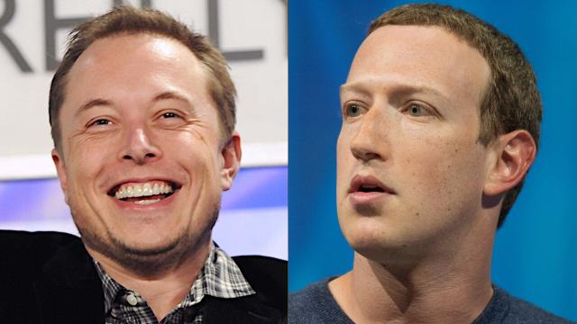 Will Elon Musk Fight Mark Zuckerberg in a Cage? You Can Bet on It