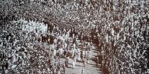 Funeral of Mahatma Gandhi after he was assassinated in the garden of Birla House, on January 30, 1948. Photo: Universal History Archive/ Universal Images Group via Getty Images <br>