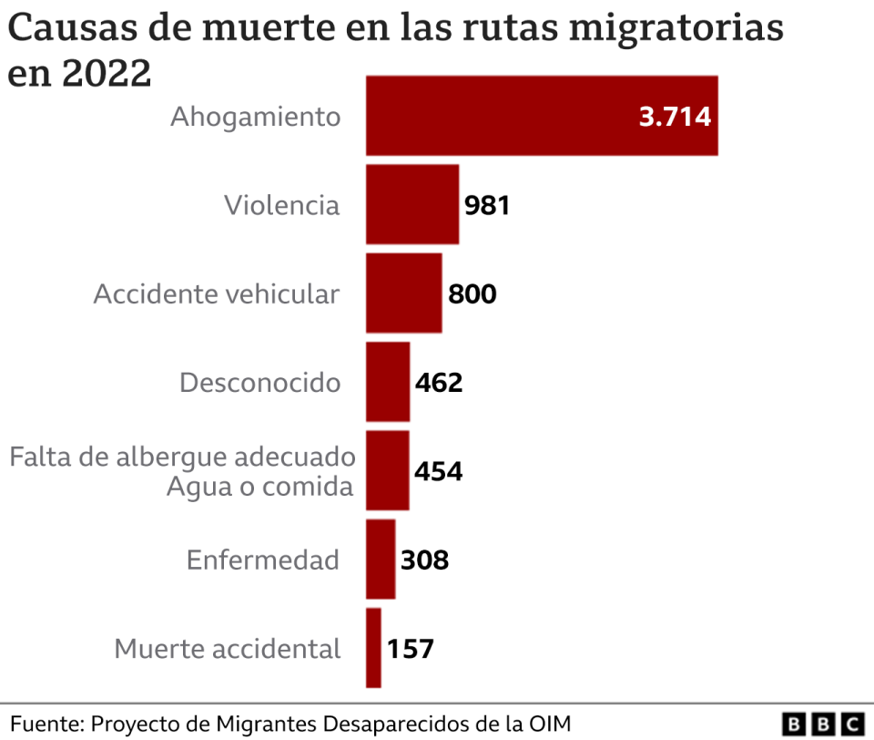 Gráfico sobre las causas de las muertes en rutas migratorias en el mundo.