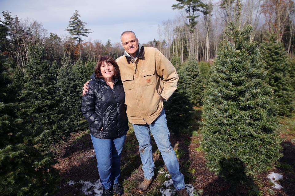 Colleen Bovaird-Liberty and her husband Ryan Liberty are opening Crooked Brook Farm as the Christmas trees they have been nurturing for years are ready at the Wells property.
