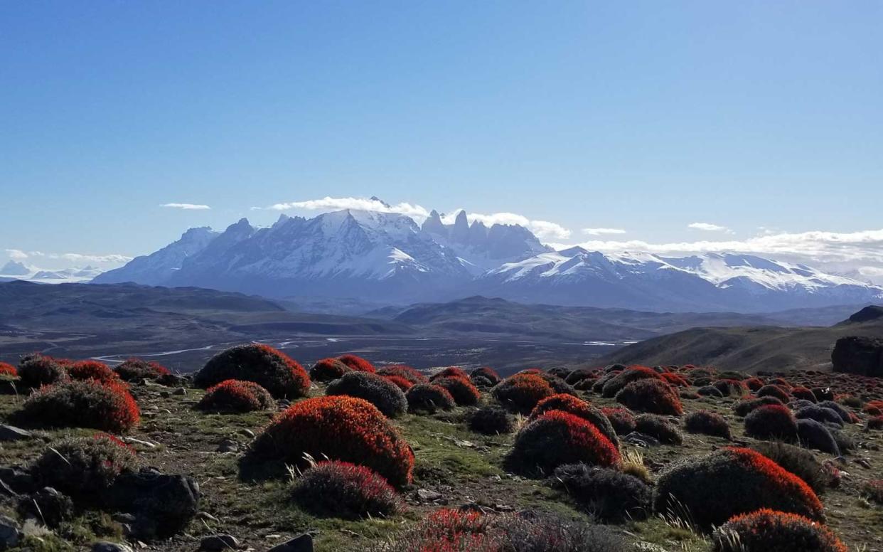 Guide to Patagonia Experience