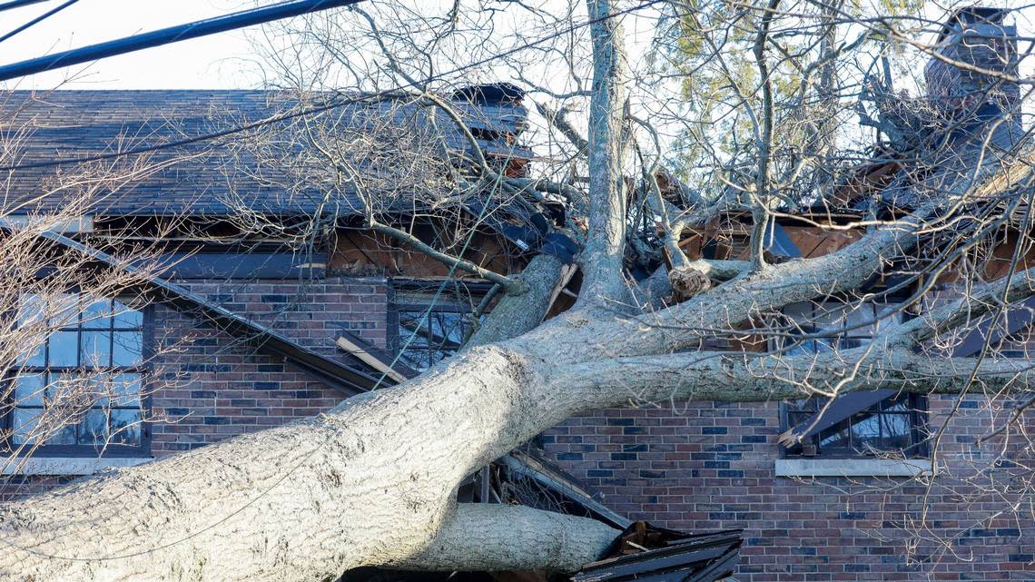 A tree and downed power lines sit on a house on Arcadia Park, just off Nicholasville Road, Sunday, March 5, 2023. Two day earlier a strong wind storm knocked out power to much of Lexington, Ky.