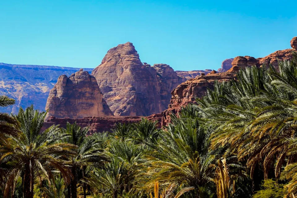 In the most fertile areas of AlUla, one species of tree is already well-established: the date palm. In the valley below the volcanic plateau of Harrat grow 2.3 million palm trees. They have  been the basis of the local economy for generations.But now that economy is changing shape. As part of the Journey Through Time masterplan for AlUla, two million tourists are slated to visit the area annually by 2035.As Anita Mendiratta, a tourism and development consultant who is on the advisory board to the RCU, says. “It’s not about the number of people who come, but the impact they have.They have dug deeply into the meaning of sustainability. It has to be cultural, social, economic, environmental and spiritual.” (RCU)