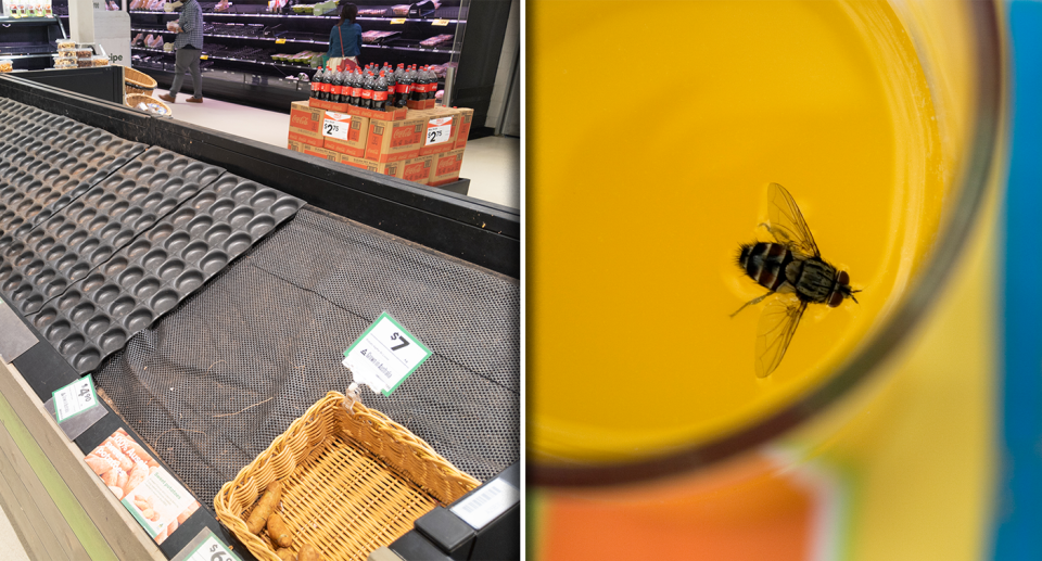 Left - empty supermarket shelves. Right - a fly in a beer.