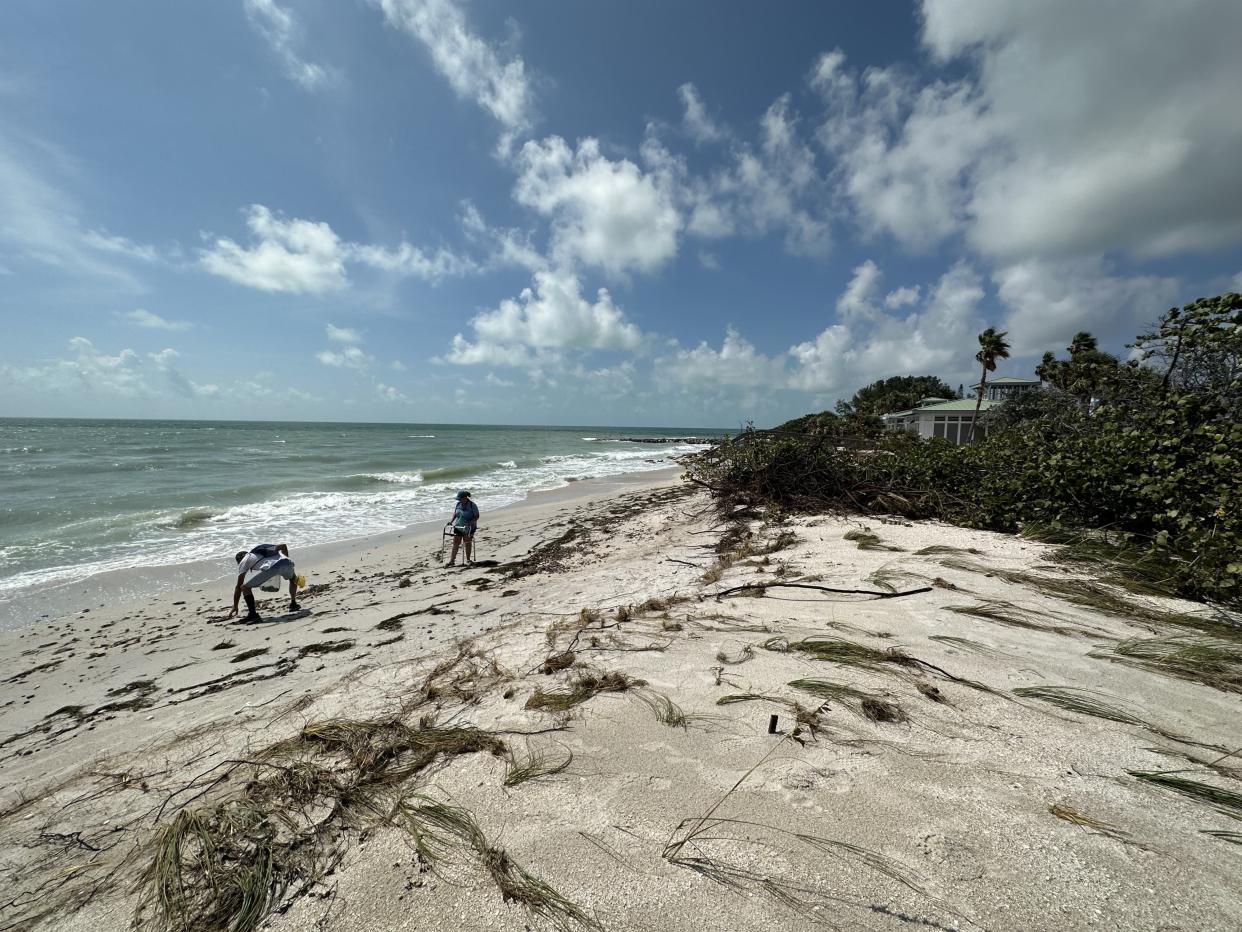 Hurricane Idalia Just Made Pinellas Beach Erosion Problem Even Worse