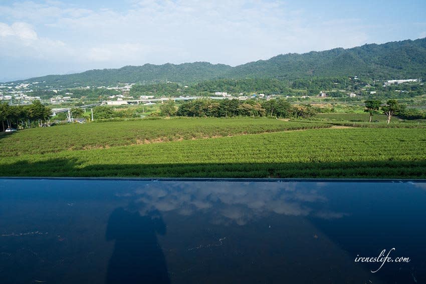 苗栗「銅鑼茶廠」