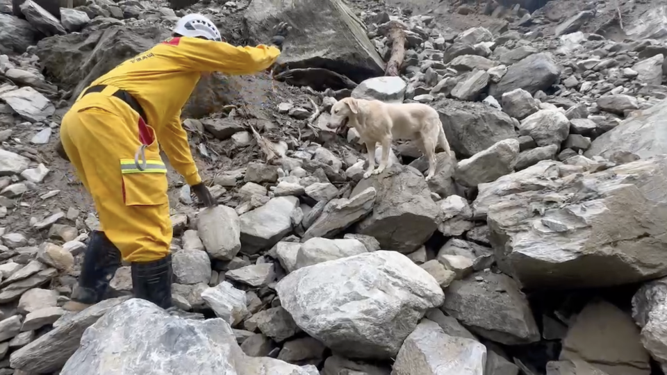 Roger takes part in a search operation after last week's earthquake. - Kaohsiung Fire Department