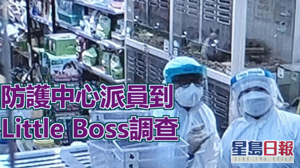 衞生防護中心人員到旺角Little Boss調查