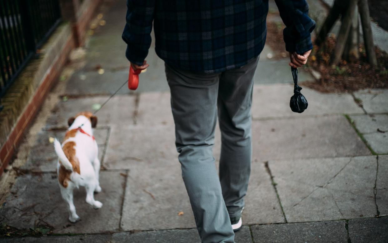 Council wardens could approach and challenge owners on whether they have the ‘means to pick up’ after their dogs - Basak Gurbuz Derman/Getty Images