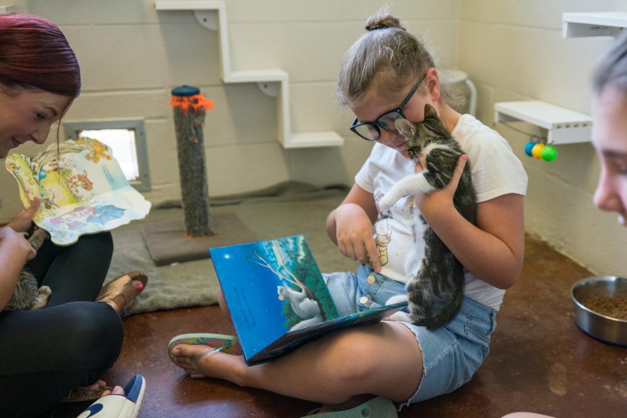 Brylee Thibodeaux reads to a kitten in one room at Acadiana Animal Aid during Kitty Litter-ature, in which children and parents can read to the cats in the shelter, Saturday, June 25, 2022.