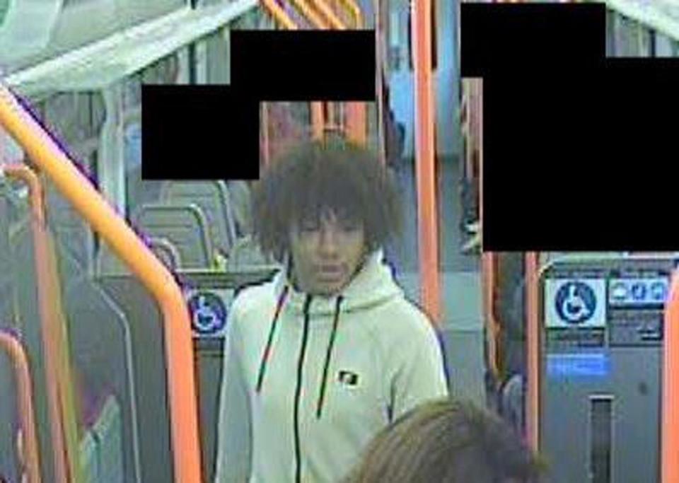 British Transport Police is appealing for information on this suspect (British Transport Police)