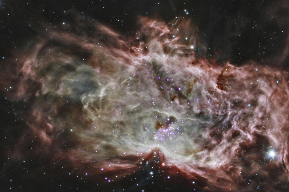 This composite image made available by NASA shows the cluster NGC 2024, which is found in the center of the Flame Nebula about 1,400 light years from Earth. Stars are often born in clusters or groups, in giant clouds of gas and dust. Data was collected by the Chandra X-ray Observatory and Spitzer Space Telescope. (X-ray: NASA/CXC/PSU/K.Getman, E.Feigelson, M.Kuhn & the MYStIX team; Infrared:NASA/JPL-Caltech via AP)