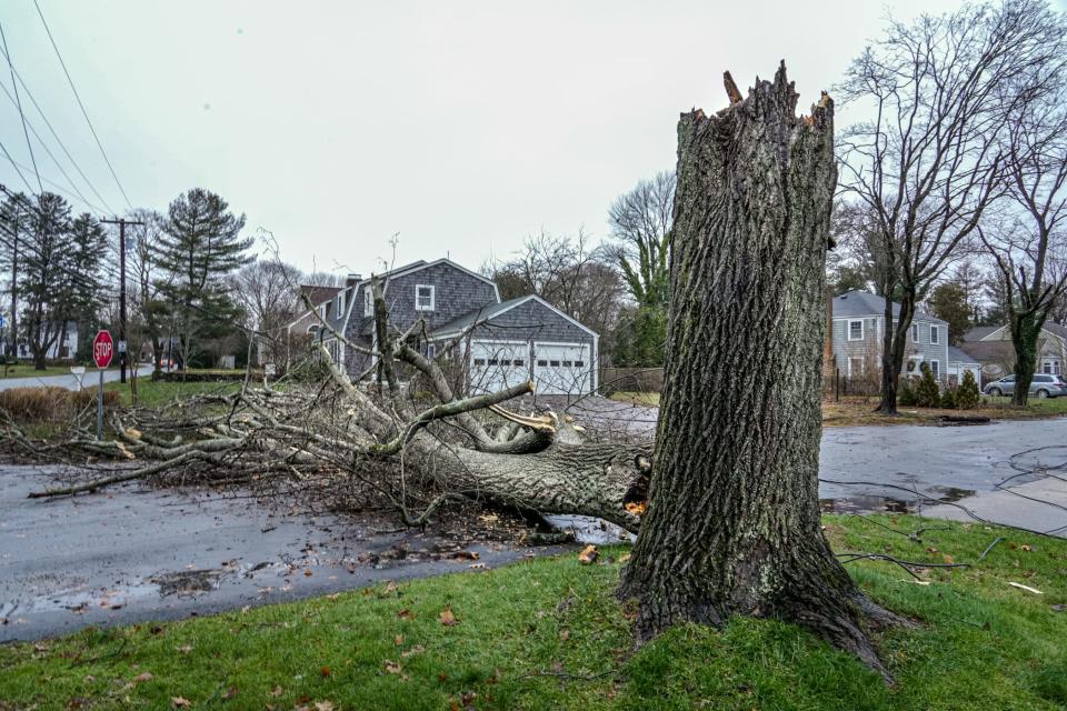 Power outage and tree damage on Ferry Lane in Barrington.