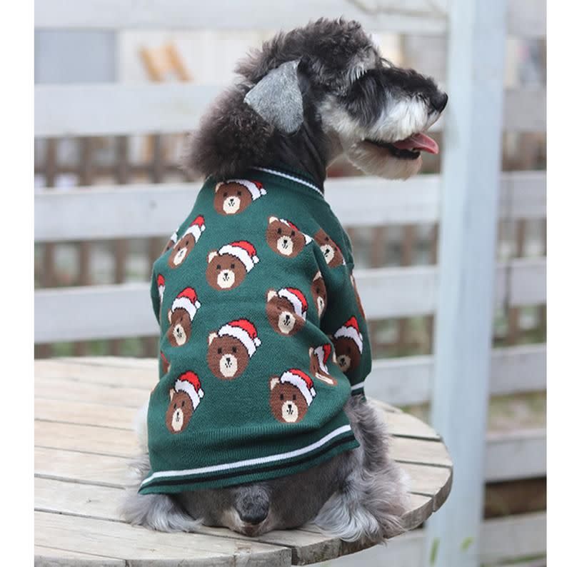 14) Bear Knitted Dog Cardigan
