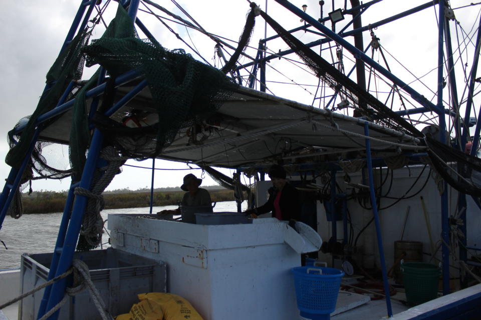 Shrimp boat docked in a Gulf of Mexico harbor