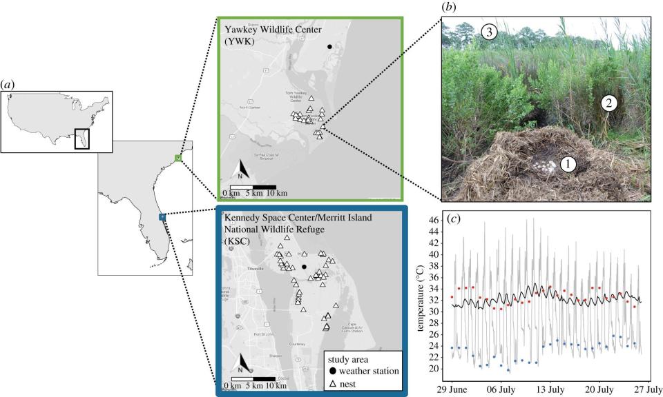 Distribución de los diferentes nidos de cocodrilo estudiados por los investigadores | imagen Bock, Samantha L., et al.