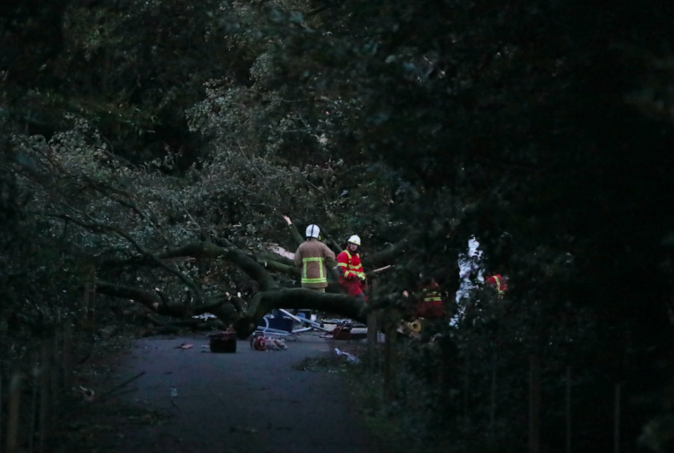 <em>White overall-clad forensics experts combed the scene and the fire service oversaw work on the hefty tree (PA)</em>