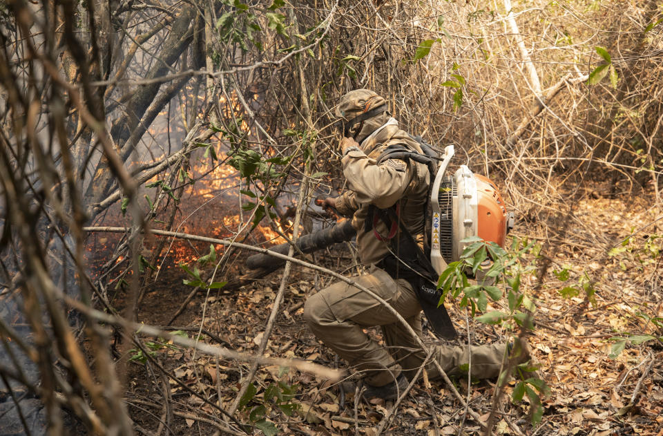 A firefighter tries to put out a fire next to the Transpantaneira road at the Pantanal wetlands near Pocone, Mato Grosso state, Brazil, Monday, Sept. 14, 2020. A vast swath of the vital wetlands is burning in Brazil, sweeping across several national parks and obscuring the sun behind dense smoke. (AP Photo/Andre Penner)