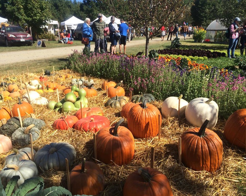 Common Ground Country Fair, Unity, Maine