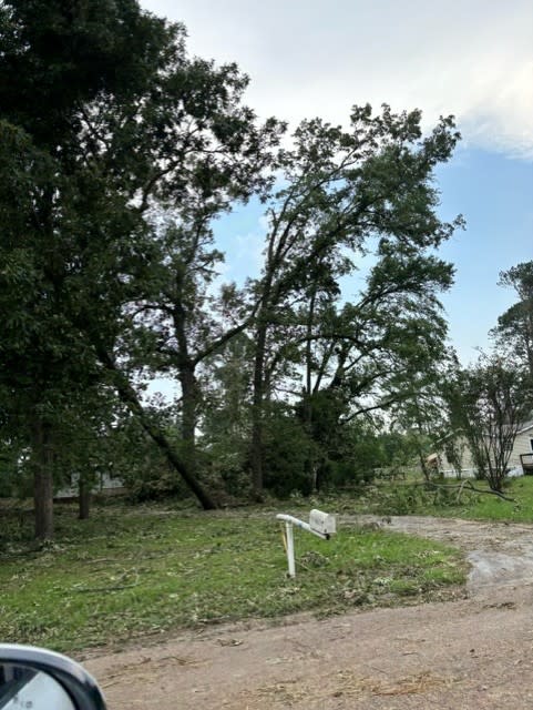 Storm damage in Frankston on Tuesday morning