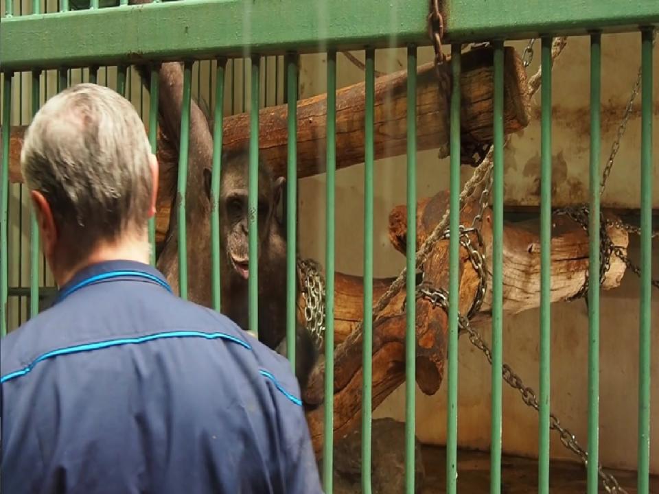 動物保護及救援上應以尊重生命為優先，眾生平等每一個生命都是值得被尊重的。（圖：MotionElements）