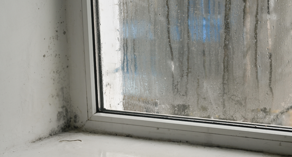 A mum in a Facebook group says placing a piece of chalk on a window sill will help to prevent mould. Photo: Getty