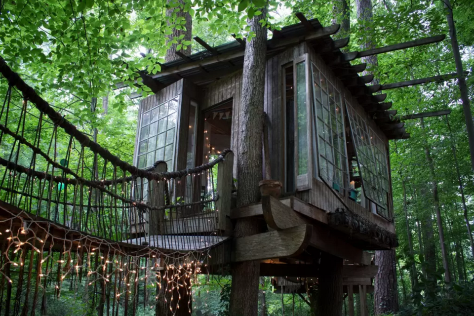 Treehouse With Rope Bridges