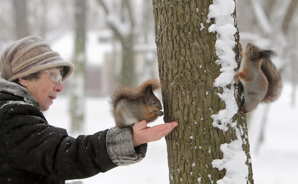 How Worried Should We Be About Squirrels Carrying the Bubonic Plague?