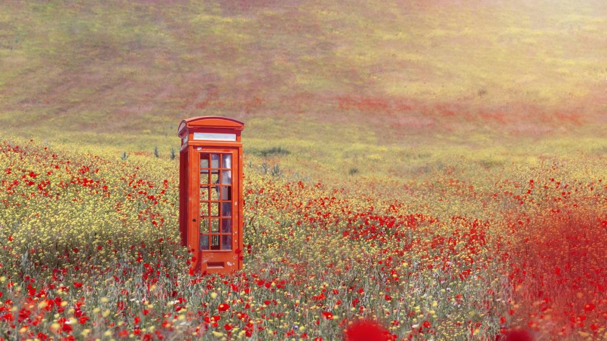 red telephone booth in a spring field