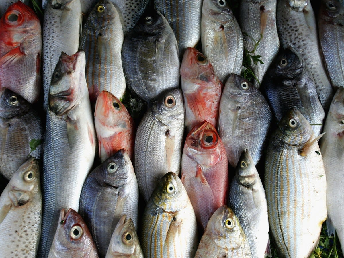 Los resultados sugirieron que “una ingesta mayor de pescado no frito y atún está relacionado con riesgo de melanoma”  (Getty Images)